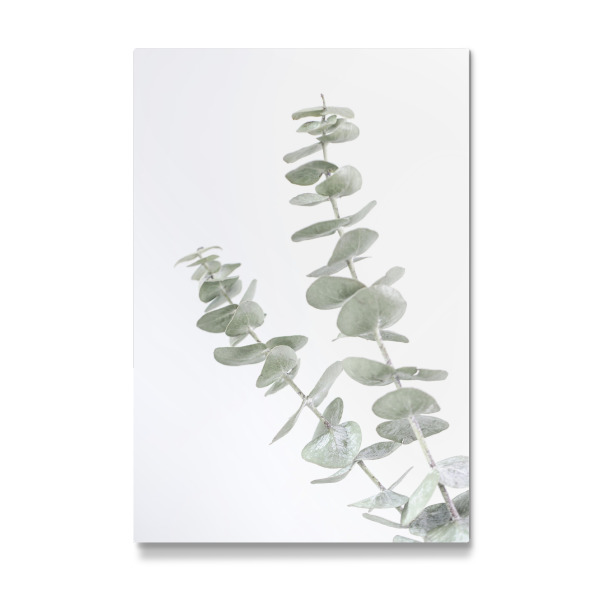 Galerie-Print "Minimalist Eucalyptus" 30x20 cm artboxONE