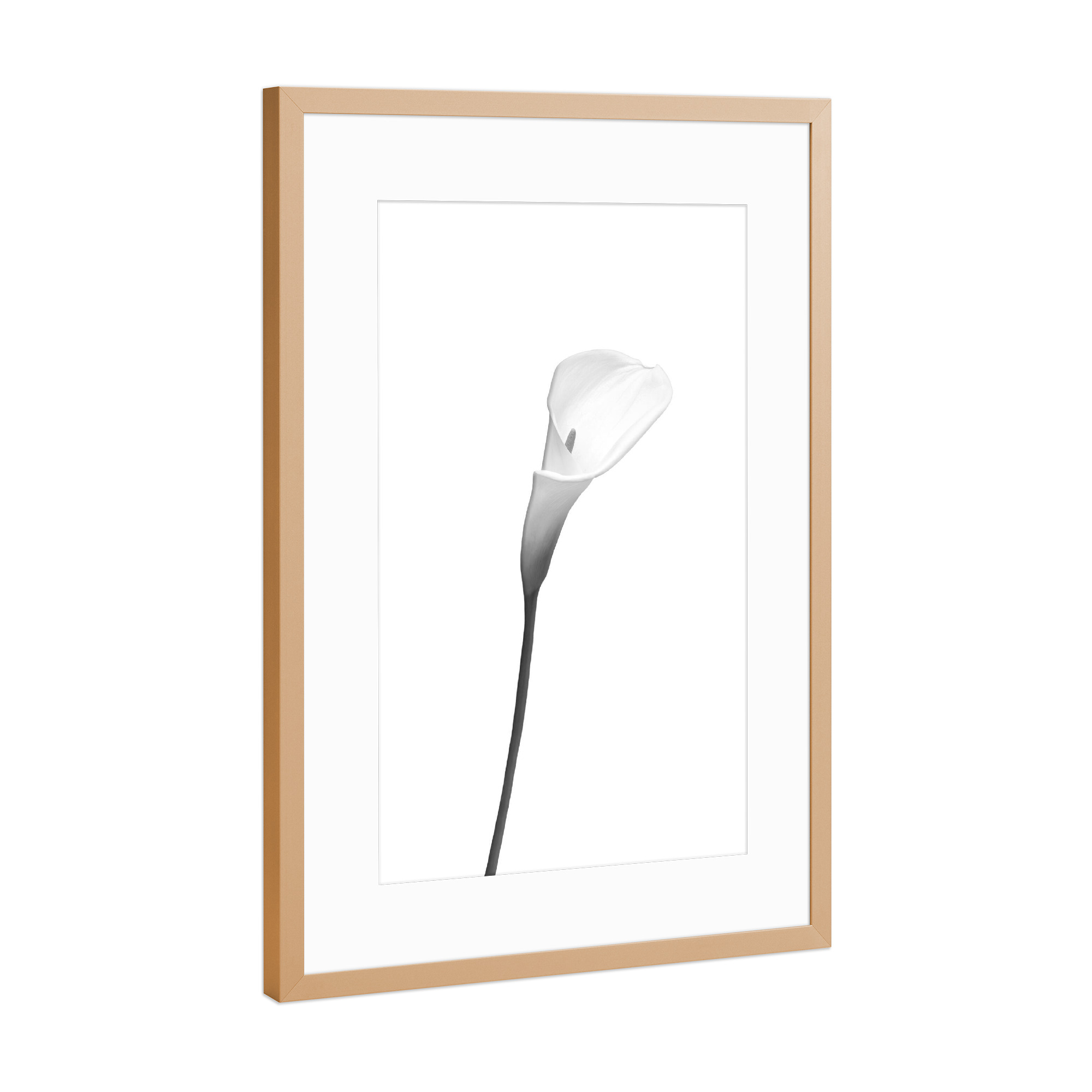 Poster mit Rahmen Kupfer "Calla | helles Design" artboxONE - Floral,Schwarzweiß