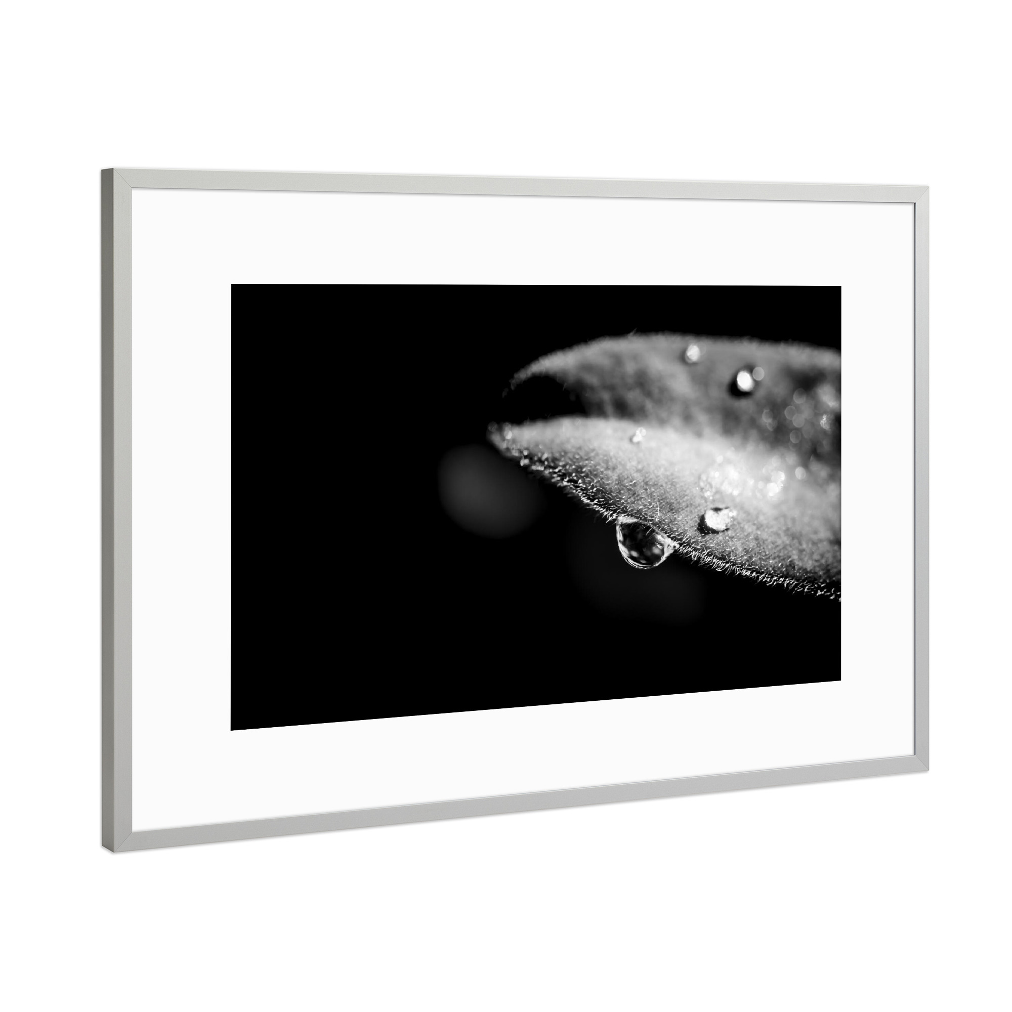 Poster mit Rahmen Silber "Tears From Heaven" artboxONE - Natur,Floral,Schwarzweiß