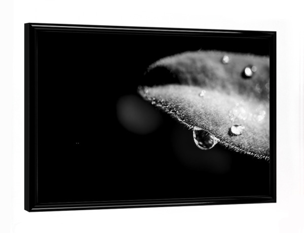 Poster mit schwarzem Rahmen "Tears From Heaven" artboxONE - Natur,Floral,Schwarzweiß