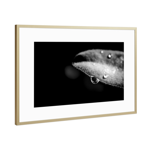 Poster mit Rahmen Gold "Tears From Heaven" artboxONE - Natur,Floral,Schwarzweiß