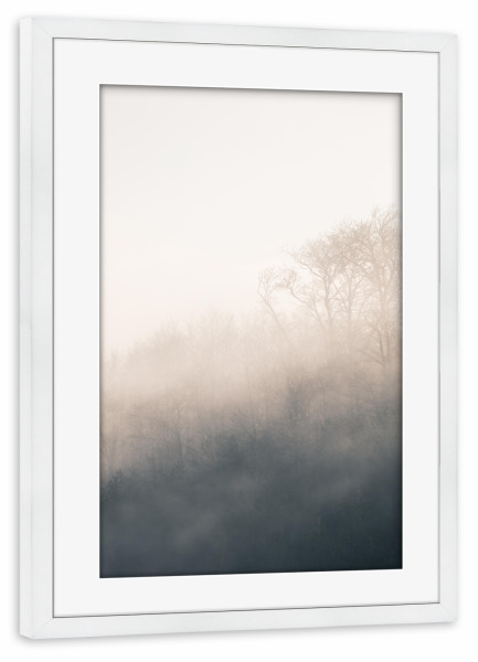 Poster mit Rahmen weiß "Licht und Nebel" artboxONE - Natur - Usedom,Dichter nebel,Sonnenlicht,Hell,Wald,Nebelig,Foggy,Natur,Nature,Forest,Trees,Bäume