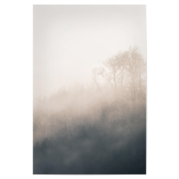 Poster "Licht und Nebel" artboxONE - Natur - Usedom,Dichter nebel,Sonnenlicht,Hell,Wald,Nebelig,Foggy,Natur,Nature,Forest,Trees,Bäume