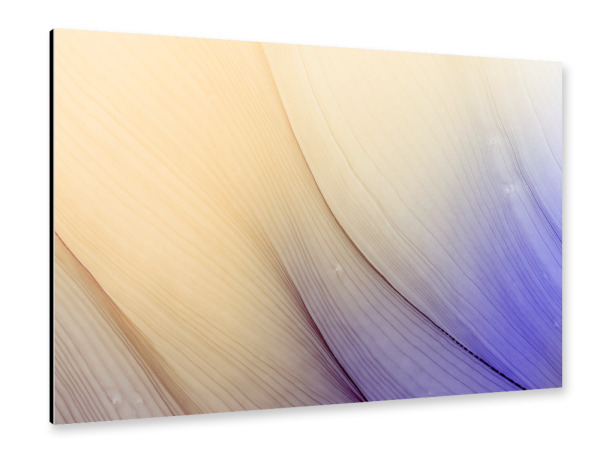 Alu-Dibond "We find the Way - art" 30x20 cm artboxONE