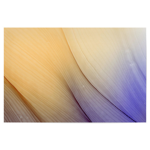 Poster "We find the Way - art" artboxONE - Abstrakt