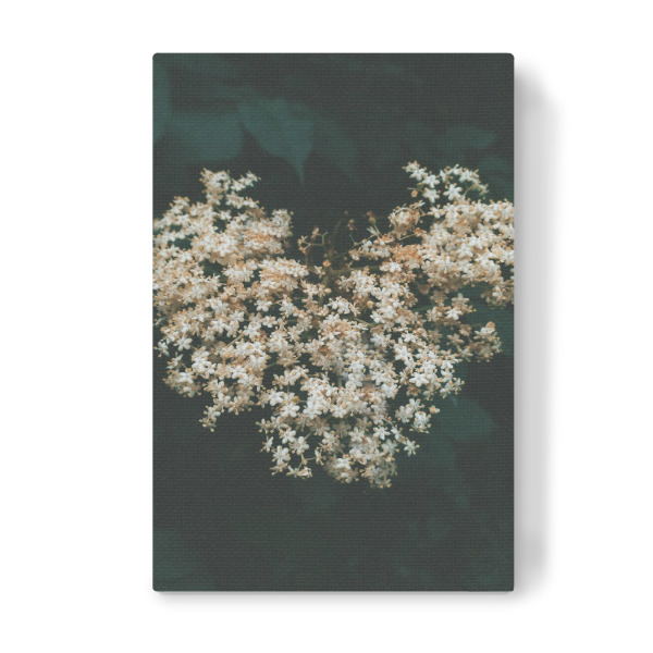 Leinwandbild "Floral Heart" artboxONE - Natur,Floral - Flower,Plant,Spring,Heart,Nature,Herz,Blumen,Floral,Natur