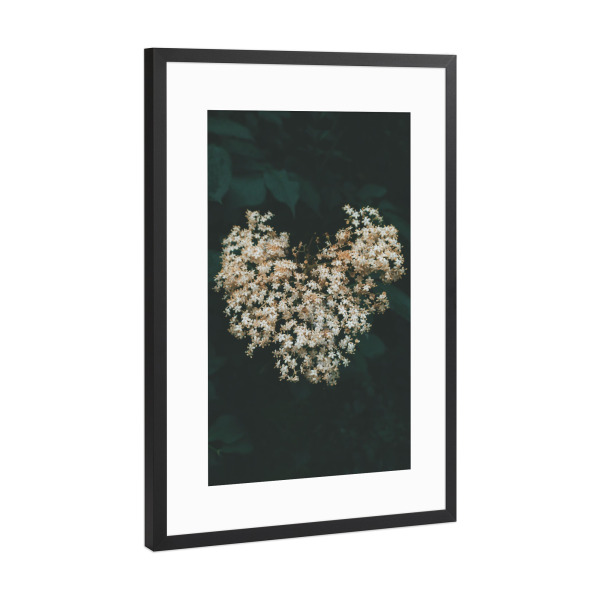Poster mit Rahmen Schwarz (Metallic) "Floral Heart" artboxONE - Natur,Floral - Flower,Plant,Spring,Heart,Nature,Herz,Blumen,Floral,Natur
