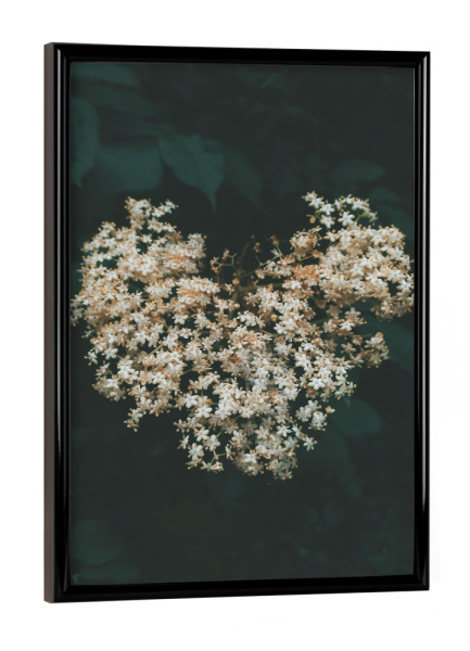 Poster mit schwarzem Rahmen "Floral Heart" artboxONE - Natur,Floral - Flower,Plant,Spring,Heart,Nature,Herz,Blumen,Floral,Natur