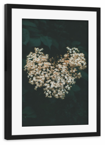 Poster mit Rahmen schwarz "Floral Heart" artboxONE - Natur,Floral - Flower,Plant,Spring,Heart,Nature,Herz,Blumen,Floral,Natur