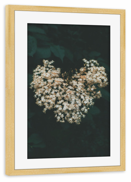 Poster mit Rahmen kiefer "Floral Heart" artboxONE - Natur,Floral - Flower,Plant,Spring,Heart,Nature,Herz,Blumen,Floral,Natur