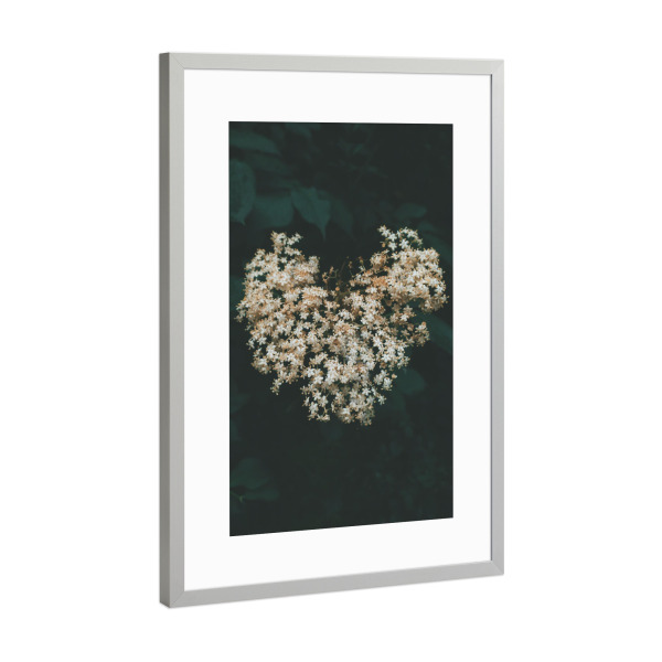 Poster mit Rahmen Silber "Floral Heart" artboxONE - Natur,Floral - Flower,Plant,Spring,Heart,Nature,Herz,Blumen,Floral,Natur