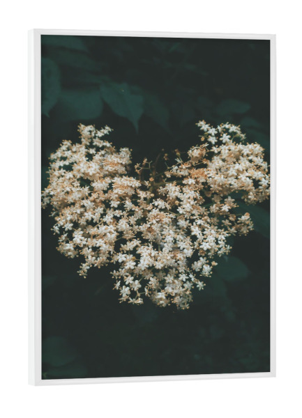 Poster mit weißem Rahmen "Floral Heart" artboxONE - Natur,Floral - Flower,Plant,Spring,Heart,Nature,Herz,Blumen,Floral,Natur