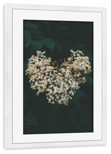 Poster mit Rahmen weiß "Floral Heart" artboxONE - Natur,Floral - Flower,Plant,Spring,Heart,Nature,Herz,Blumen,Floral,Natur