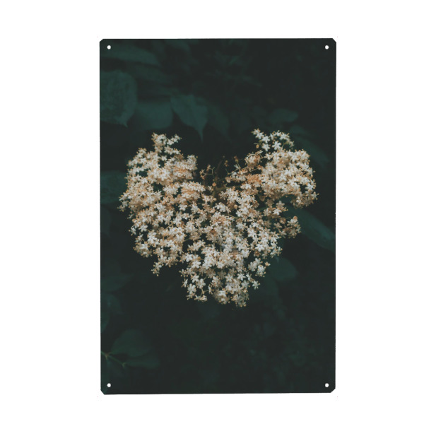 Holzbild "Floral Heart" artboxONE - Natur,Floral - Flower,Plant,Spring,Heart,Nature,Herz,Blumen,Floral,Natur