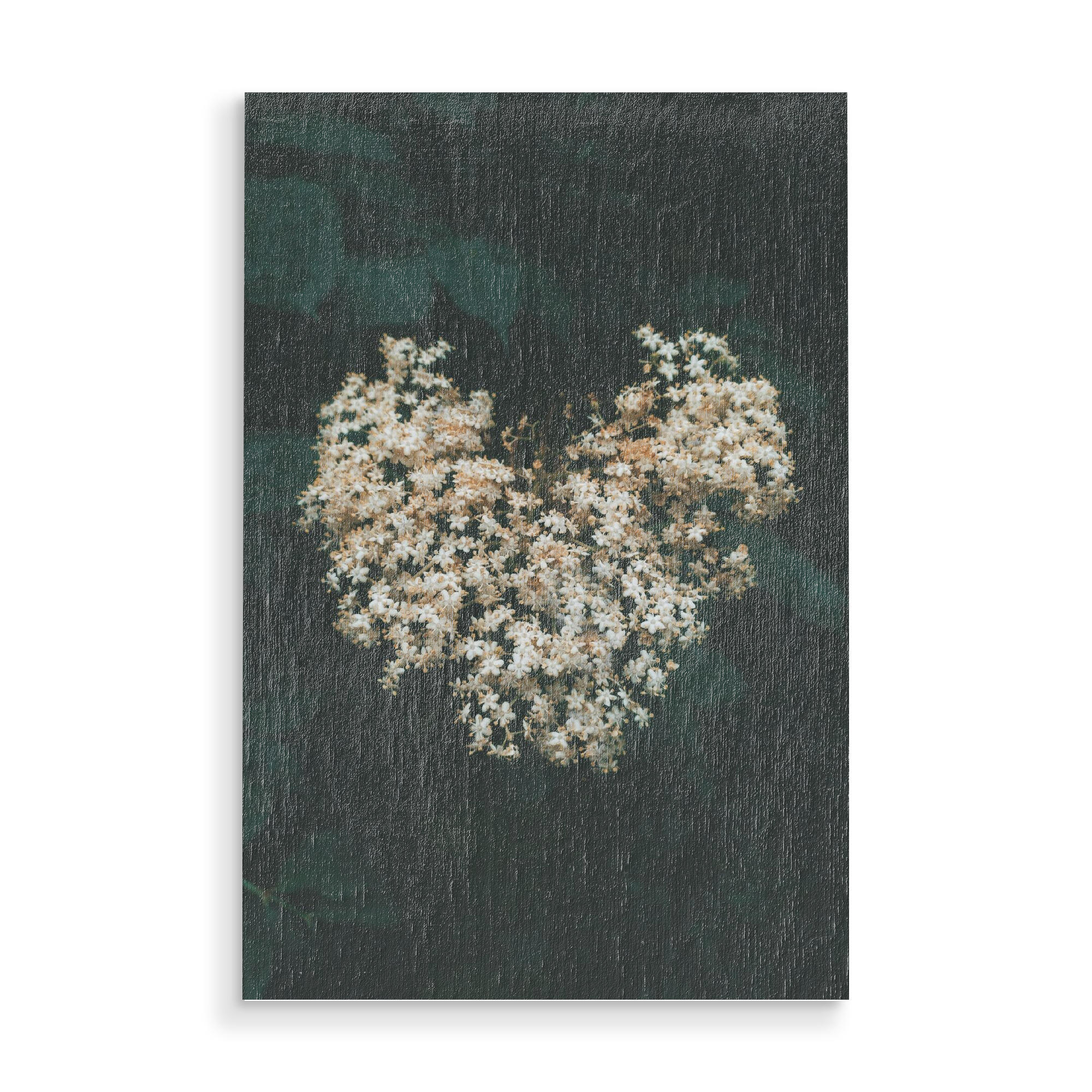 Holzbild "Floral Heart" artboxONE - Natur,Floral - Flower,Plant,Spring,Heart,Nature,Herz,Blumen,Floral,Natur