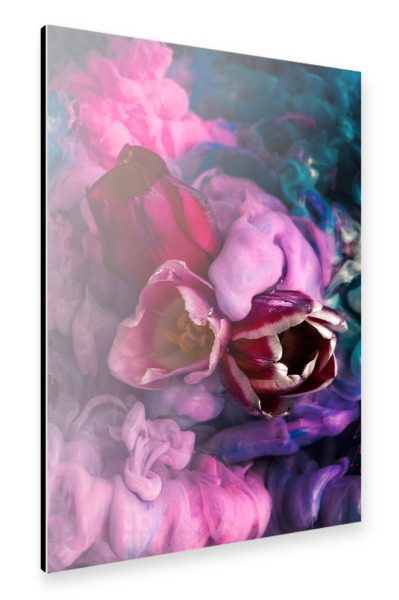Alu-Dibond "Tulpen unter Wasser" 30x20 cm artboxONE