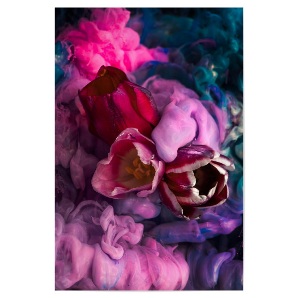 Poster 30x20 cm "Tulpen unter Wasser" artboxONE - Natur,Floral,Abstrakt