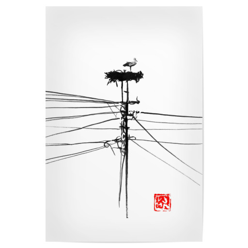 Storke nest