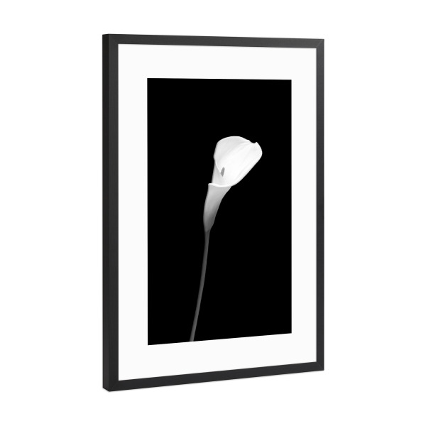 Poster mit Rahmen Schwarz (Metallic) "Calla | dunkles Design" artboxONE - Floral