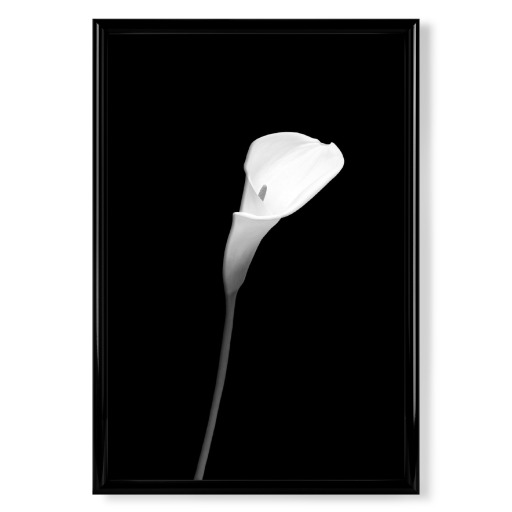 Calla | dark design