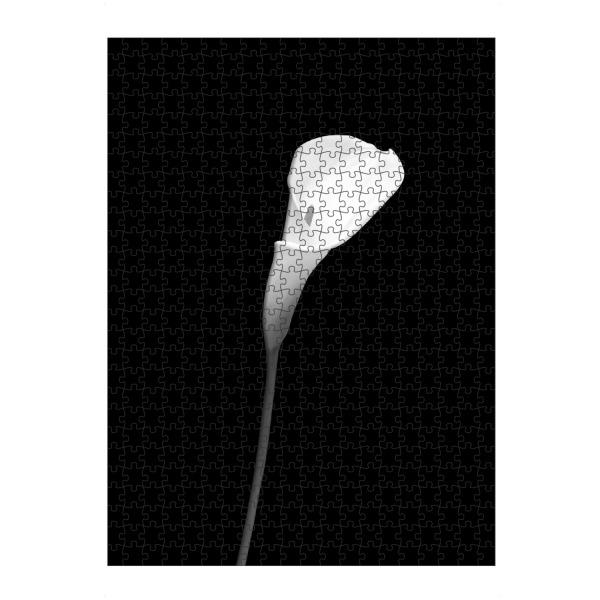 artboxONE Puzzle "Calla | dunkles Design" artboxONE - Floral