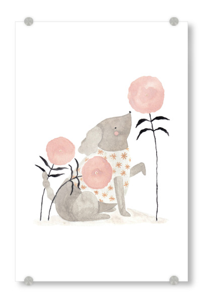 Acrylglasbild "Voglhuber - Hund und Blume" artboxONE - Natur,Floral,Für Kinder,Tiere