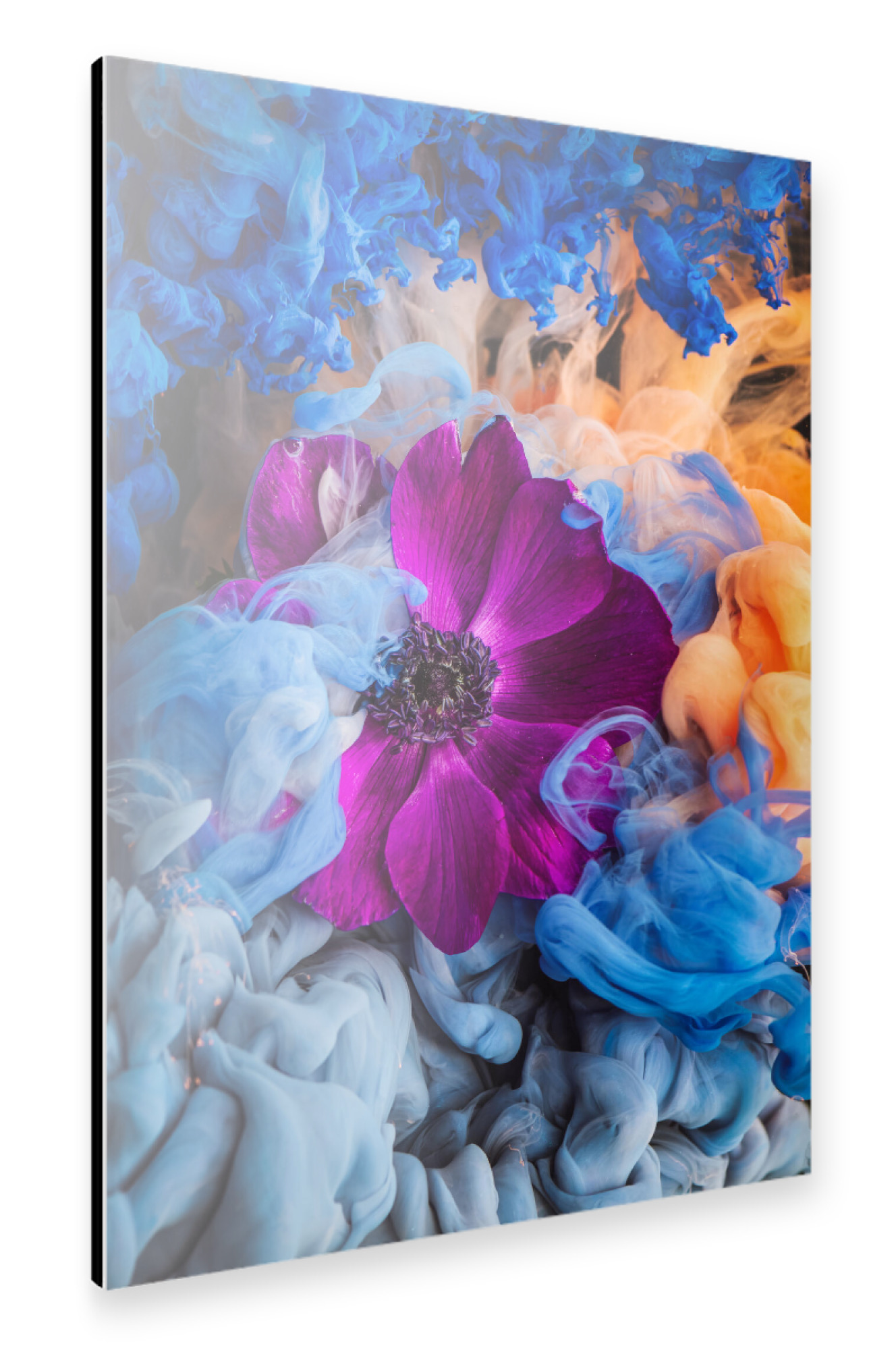Alu-Dibond "Pink Anemone" 30x20 cm artboxONE