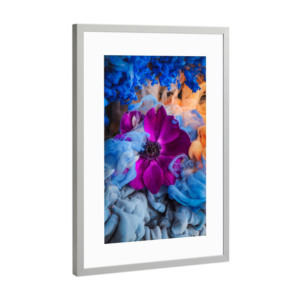 Poster mit Rahmen Silber "Pink Anemone" artboxONE - Natur,Floral,Abstrakt