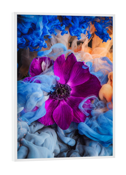 Poster mit weißem Rahmen "Pink Anemone" artboxONE - Natur,Floral,Abstrakt