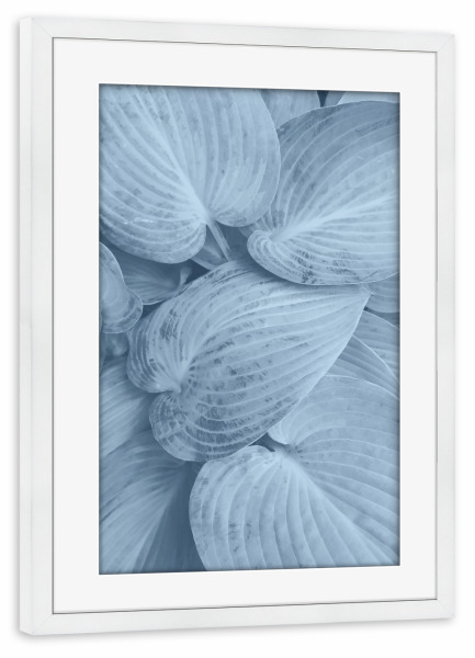 Poster mit Rahmen weiß "Blue Leaves Macro" artboxONE - Natur,Floral