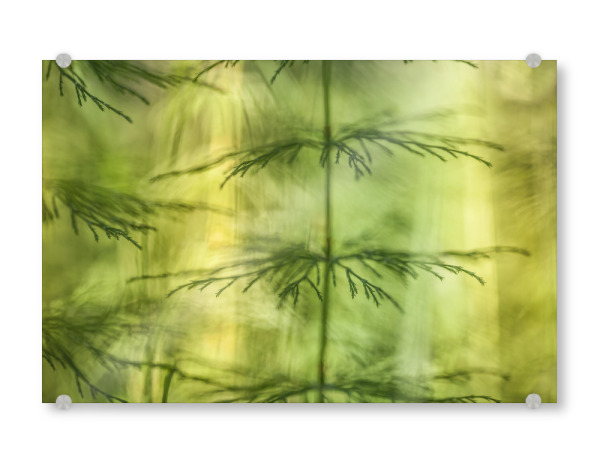 Acrylglasbild "Puzzlegrass" artboxONE - Floral