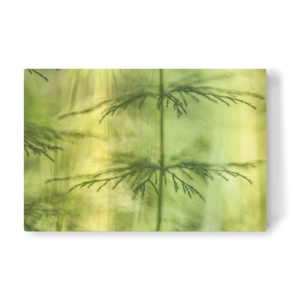 Leinwandbild "Puzzlegrass" artboxONE - Floral