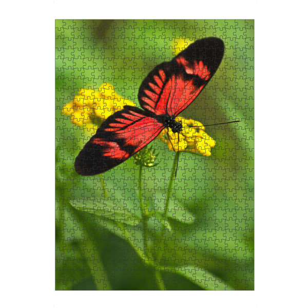 artboxONE Puzzle "Schmetterling auf gelber Blüte" artboxONE - Natur,Tiere