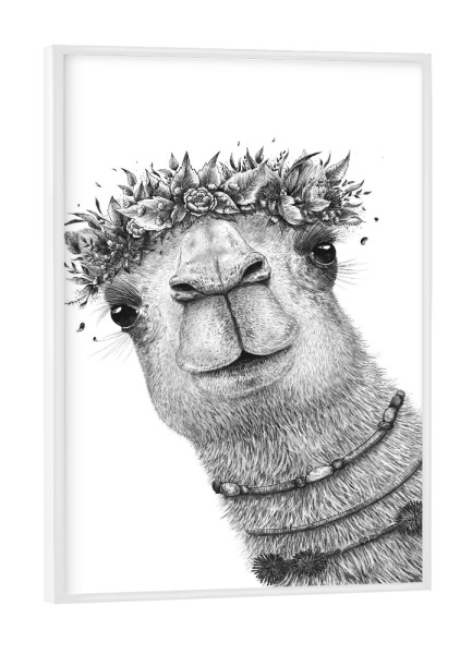 Poster mit weißem Rahmen "Camel with wreath" artboxONE - Natur,Floral,Tiere,Für Mama,Lustig