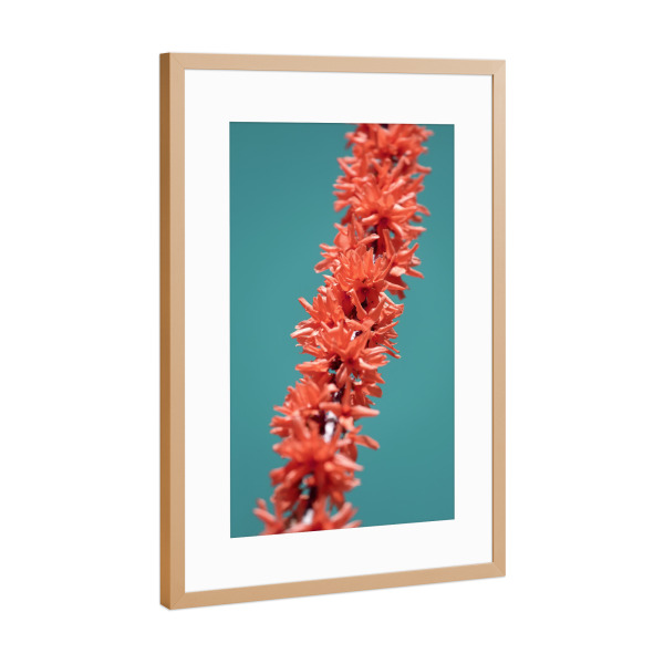 Poster mit Rahmen Kupfer "Flamingo Blüte" artboxONE - Natur,Floral,Abstrakt