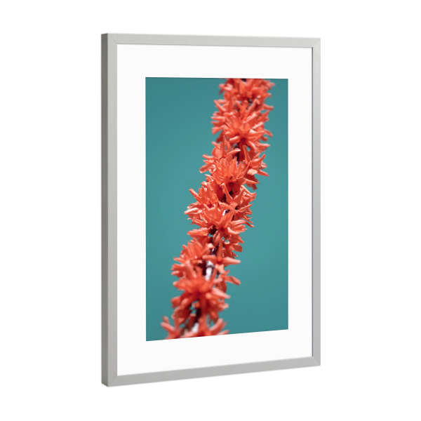 Poster mit Rahmen Silber "Flamingo Blüte" artboxONE - Natur,Floral,Abstrakt