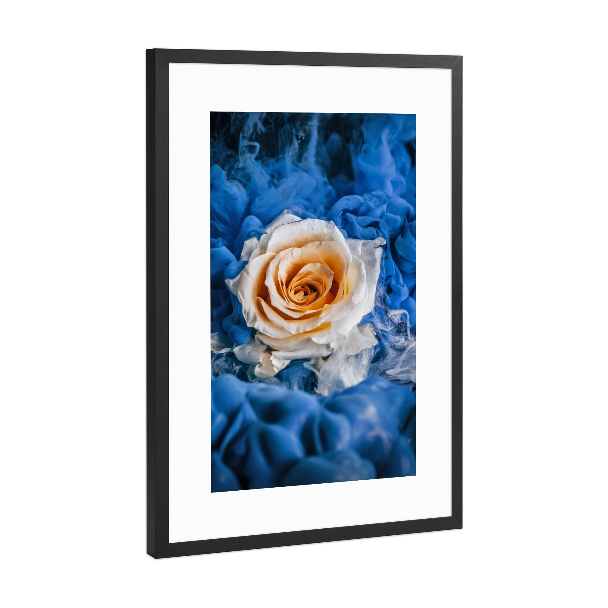 Poster mit Rahmen Schwarz (Metallic) "Magische Rose" artboxONE - Natur,Floral,Abstrakt