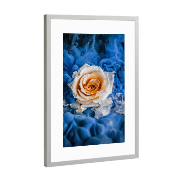 Poster mit Rahmen Silber "Magische Rose" artboxONE - Natur,Floral,Abstrakt