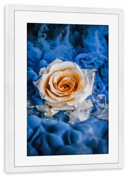 Poster mit Rahmen weiß "Magische Rose" artboxONE - Natur,Floral,Abstrakt