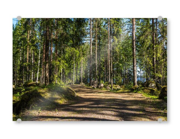 Acrylglasbild "Finnischer Waldweg" artboxONE - Natur,Reise,Reise / Länder