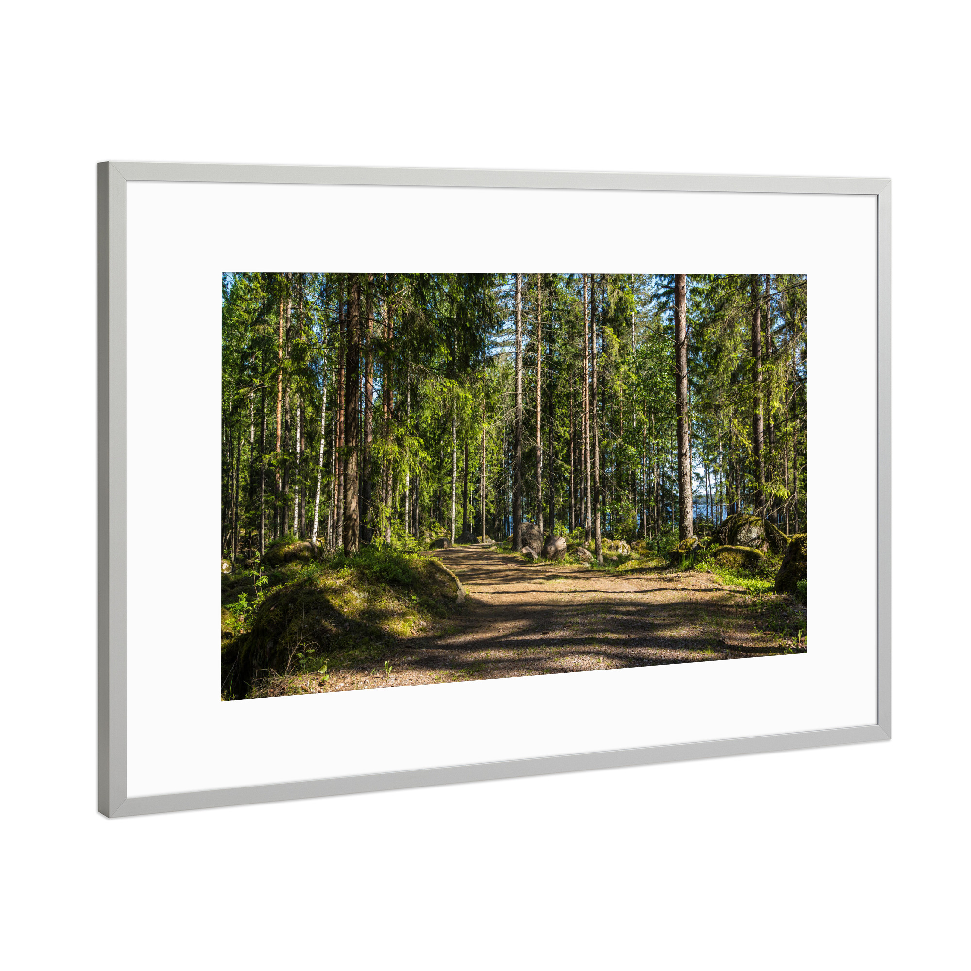 Poster mit Rahmen Silber "Finnischer Waldweg" artboxONE - Natur,Reise,Reise / Länder