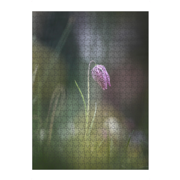 Puzzle Ravensburger "Schachbrettblume" artboxONE - Natur,Floral