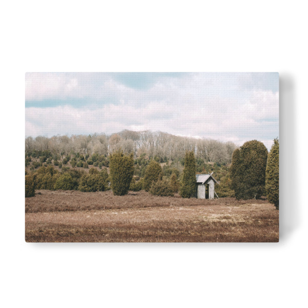 Leinwandbild "Die Lüneburger Heide" artboxONE - Natur,Reise,Abstrakt,Reise / Länder