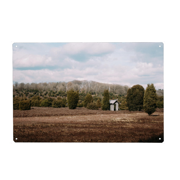 Holzbild "Die Lüneburger Heide" artboxONE - Natur,Reise,Abstrakt,Reise / Länder