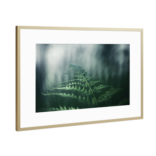 Poster mit Rahmen Gold "Fern Frond" artboxONE - Natur,Floral