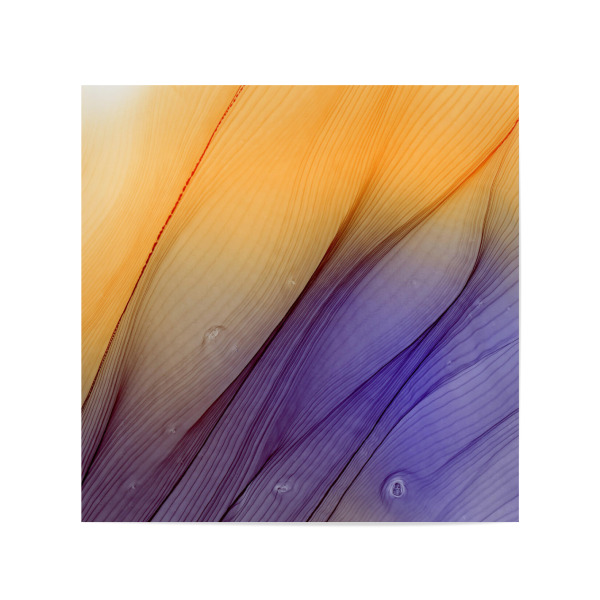 Poster 20x20 cm "Golden then Purple - Light" artboxONE - Abstrakt