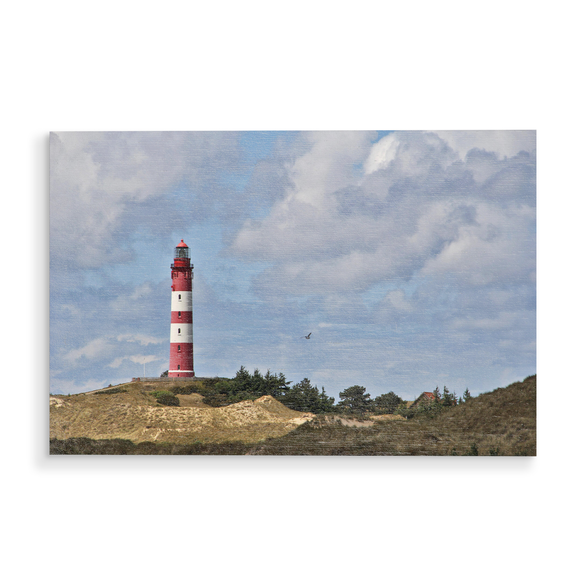 Holzbild "Leuchtturm Amrum" artboxONE - Reise,Architektur,Reise / Länder