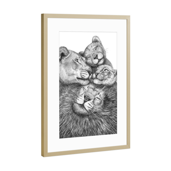 Poster mit Rahmen Gold "Family of lions" artboxONE - Tiere,Liebe,Für Mama,Für Papa,Lustig