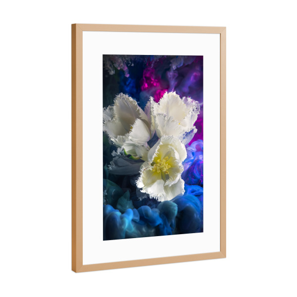Poster mit Rahmen Kupfer "Weiße Tulpen" artboxONE - Natur,Floral,Abstrakt
