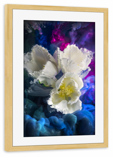 Poster mit Rahmen kiefer "Weiße Tulpen" artboxONE - Natur,Floral,Abstrakt